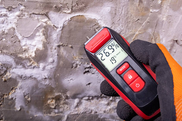 Best Mold Removal Near Me  in Sterling Heights, MI