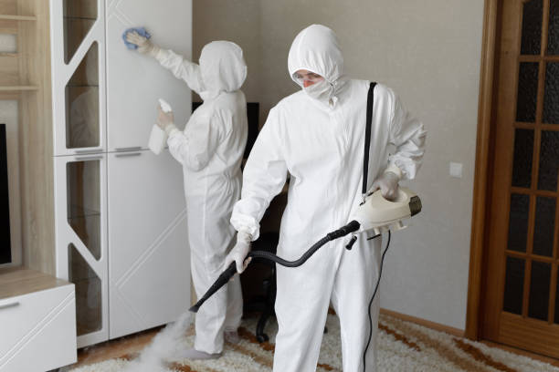 Professional Mold Removal in Sterling Heights, MI
