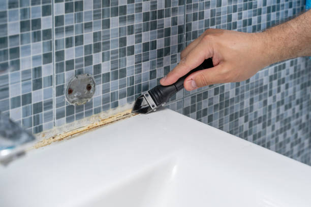 Mold Removal and Inspection in Sterling Heights, MI