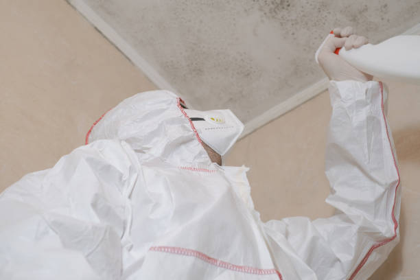 Best Office Mold Removal Services  in Sterling Heights, MI
